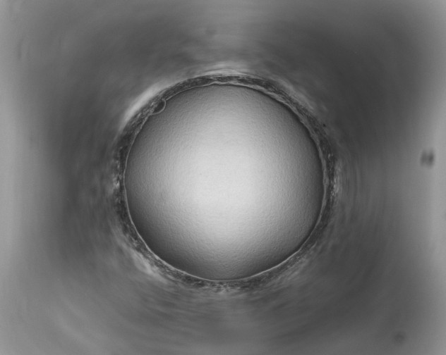 X0000113071400200909110929