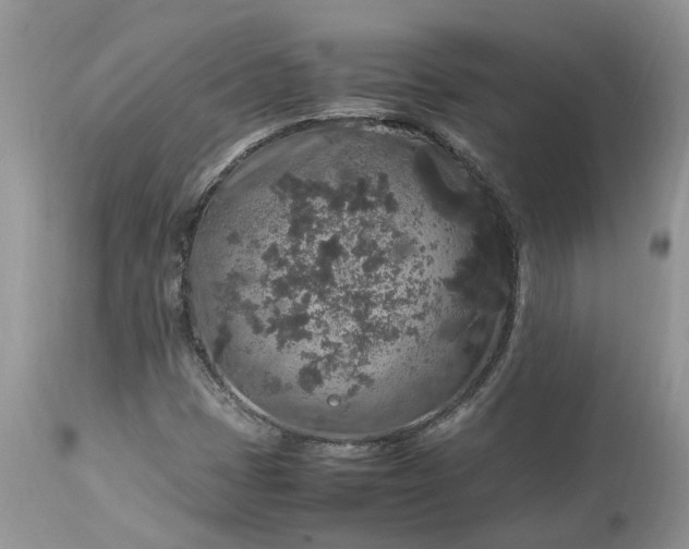 X0000113071401200909110929