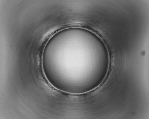 X0000113071402200909110929