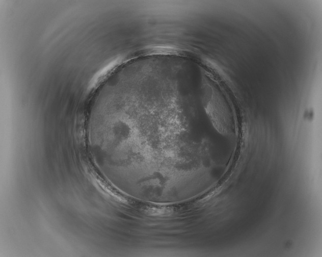 X0000113071403200909110929