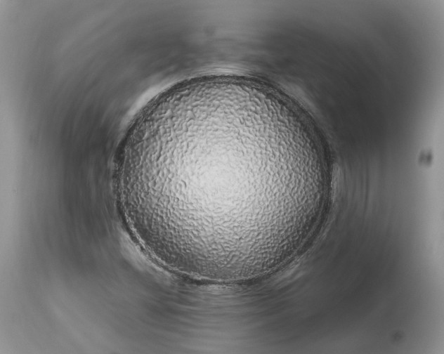 X0000113071404200909110929