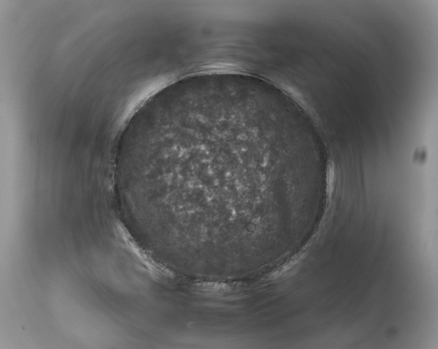 X0000113071405200909110929