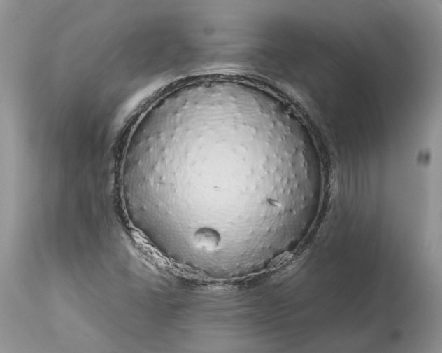 X0000113071406200909110929