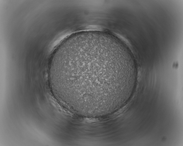 X0000113071407200909110929