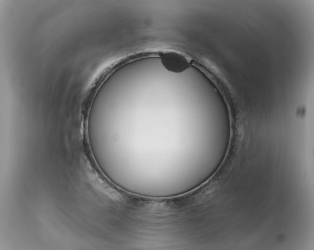 X0000113071408200909110929