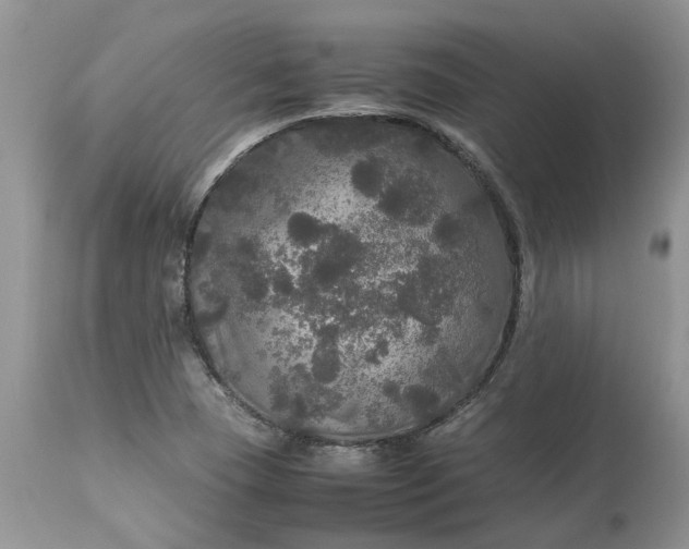 X0000113071409200909110929