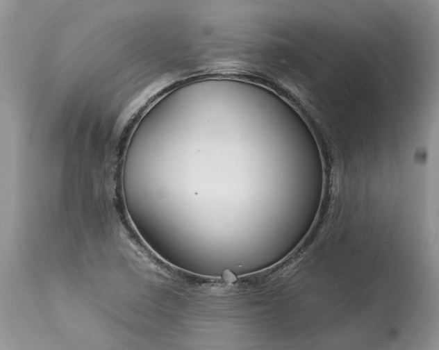 X0000113071410200909110929