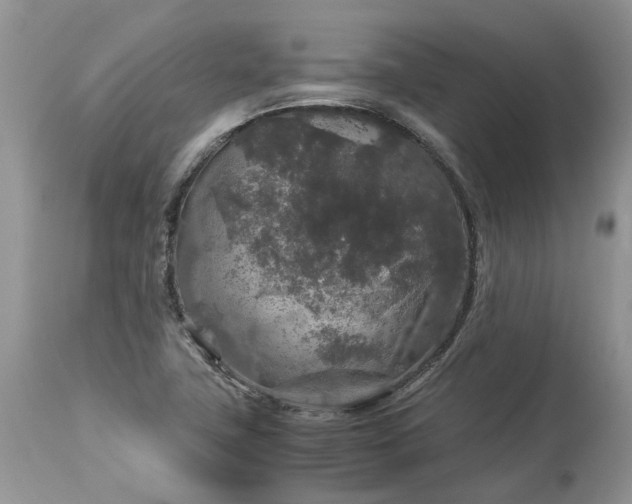 X0000113071411200909110929