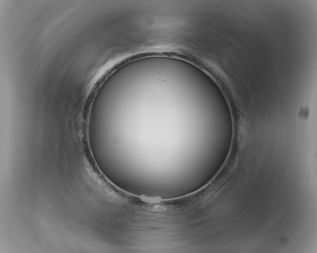 X0000113071412200909110929