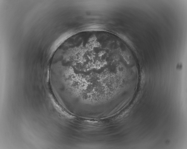 X0000113071413200909110929