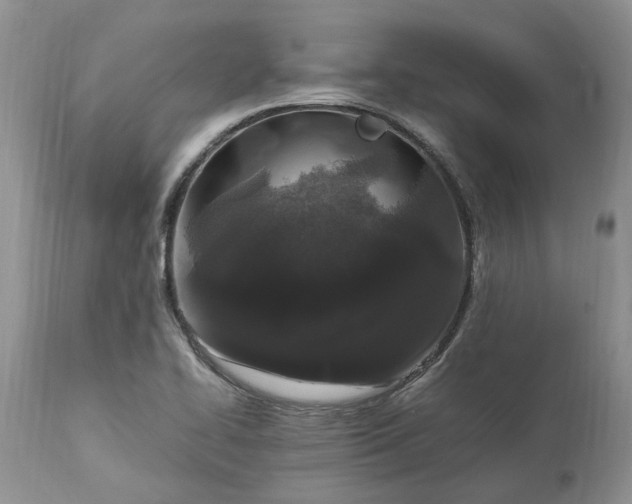 X0000113071414200909110929