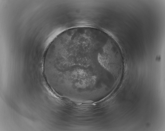 X0000113071415200909110929