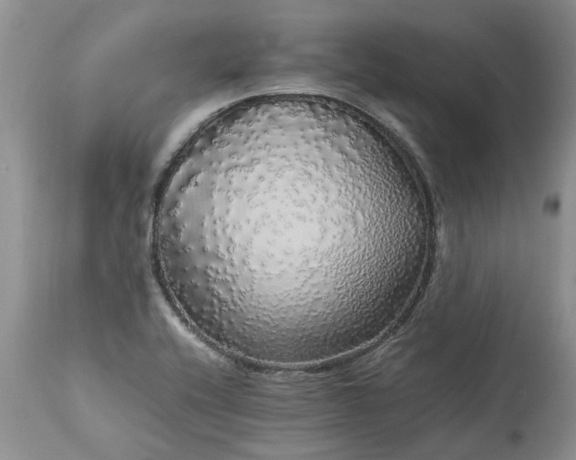 X0000113071416200909110929