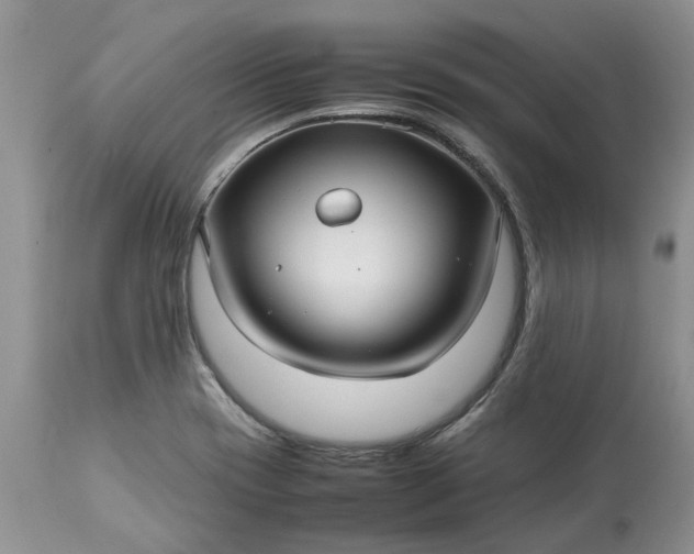 X0000113071417200909110929