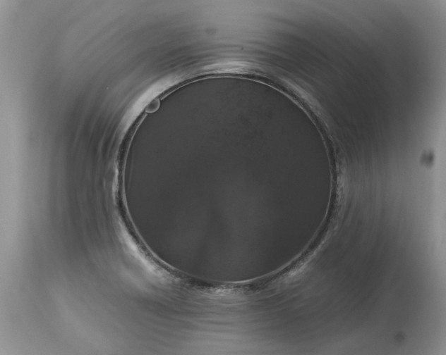 X0000113071418200909110929