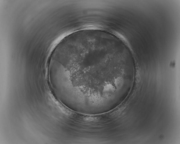 X0000113071419200909110929