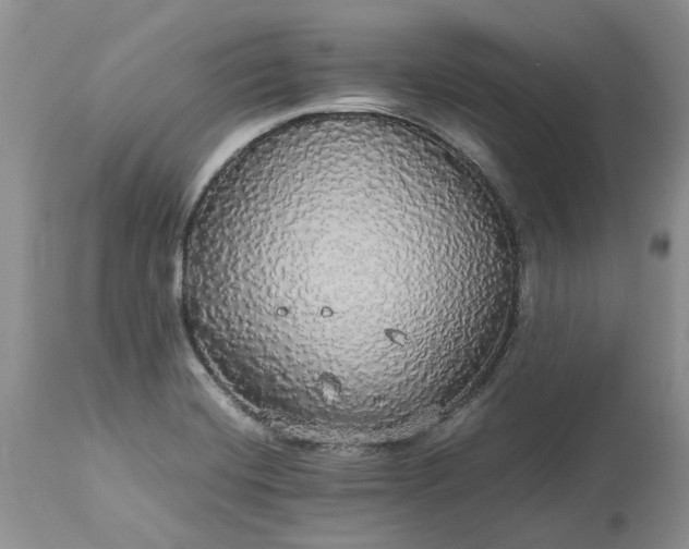 X0000113071420200909110929