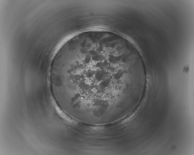 X0000113071421200909110929