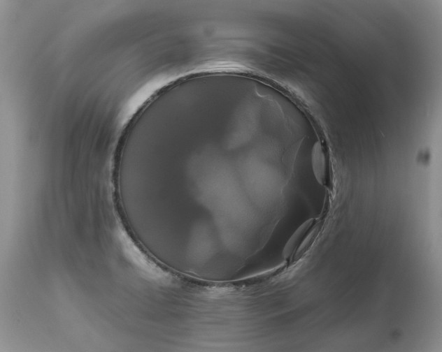 X0000113071422200909110929