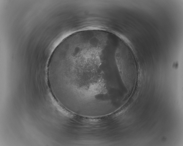 X0000113071423200909110929