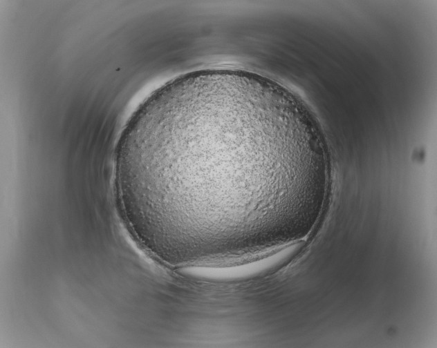 X0000113071424200909110929