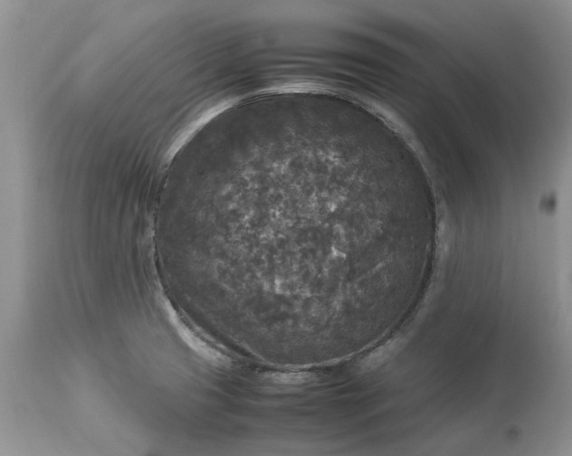 X0000113071425200909110929