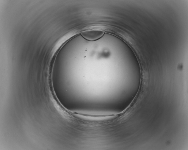 X0000113071426200909110929