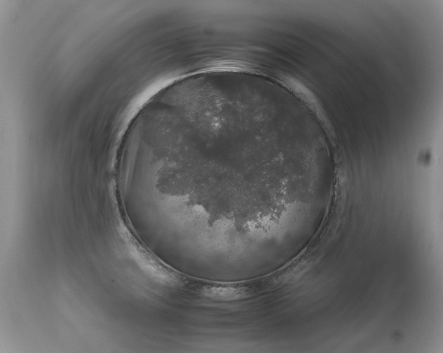 X0000113071427200909110929