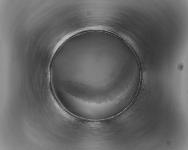 X0000113071428200909110929