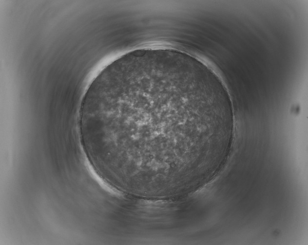 X0000113071429200909110929