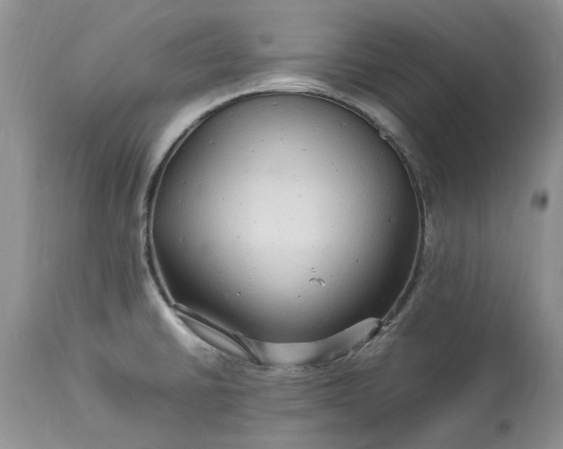 X0000113071430200909110929