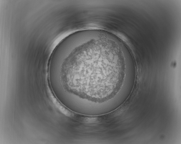 X0000113071431200909110929