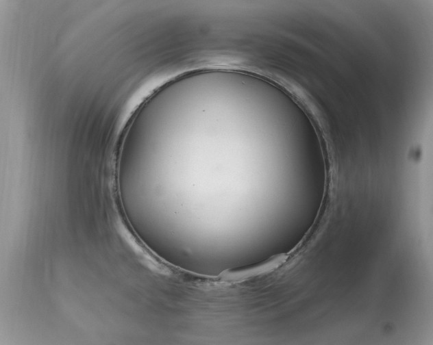 X0000113071432200909110929