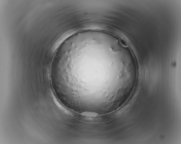 X0000113071433200909110929