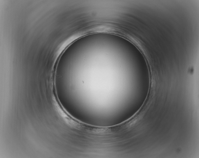 X0000113071434200909110929