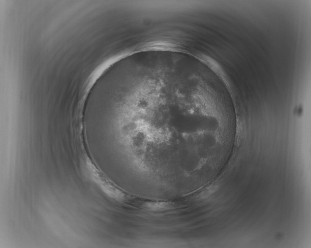 X0000113071435200909110929