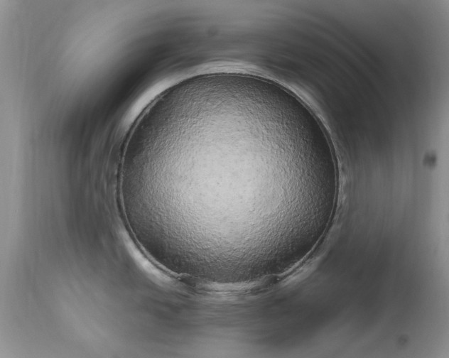 X0000113071438200909110930