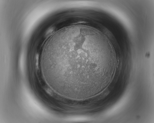 X0000113071439200909110930