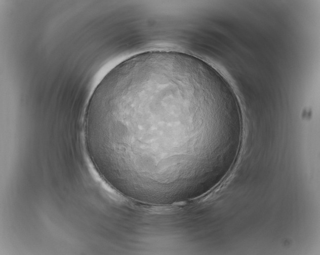 X0000113071440200909110930