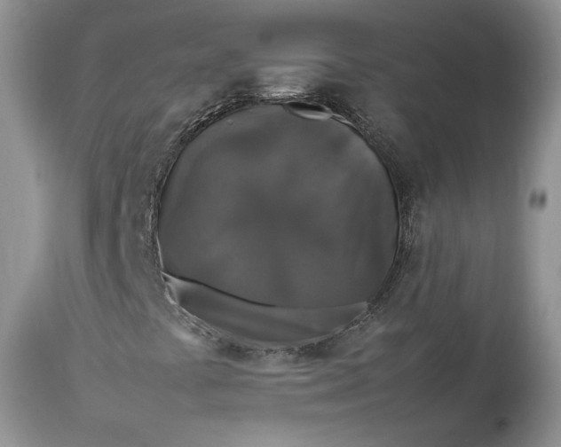 X0000113071441200909110929