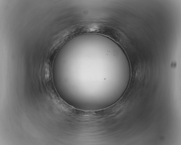 X0000113071442200909110929