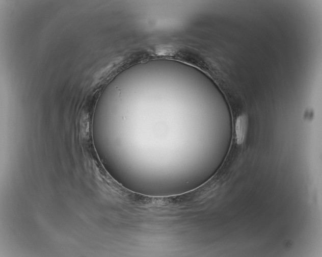 X0000113071443200909110929