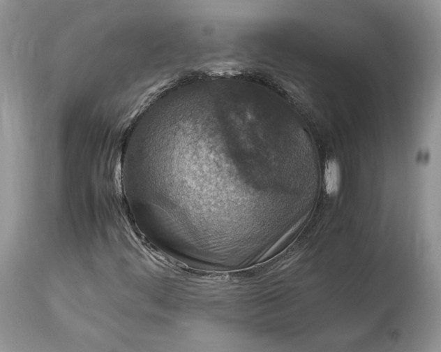 X0000113071444200909110929