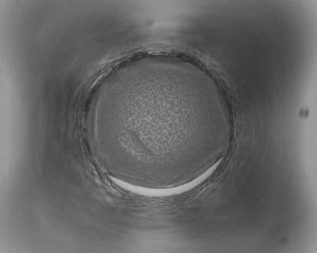 X0000113071445200909110929