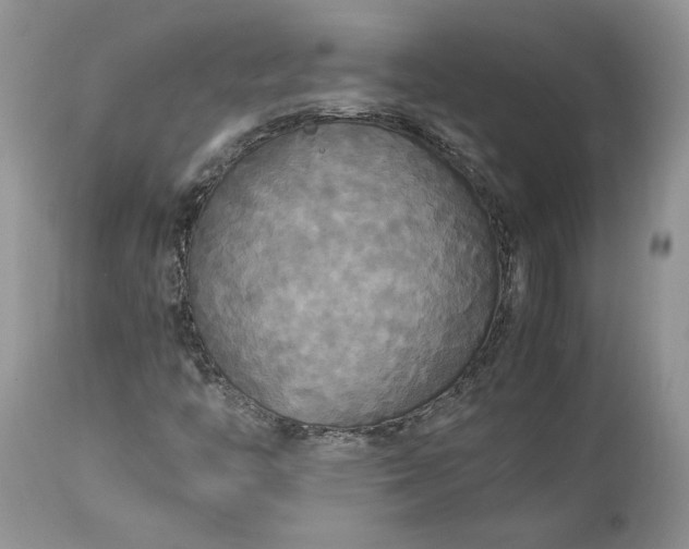 X0000113071446200909110929