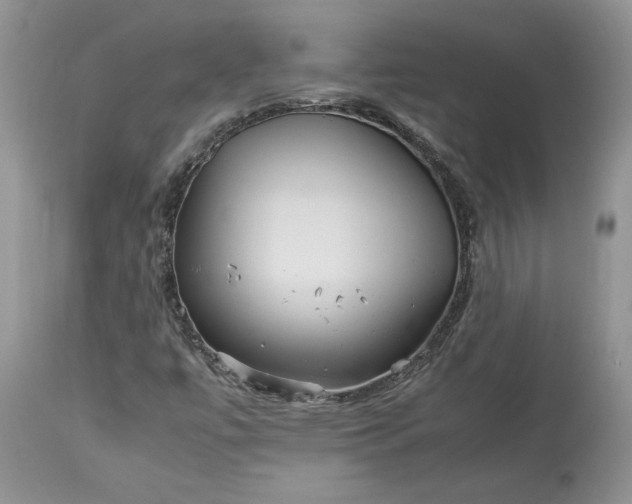 X0000113071447200909110929