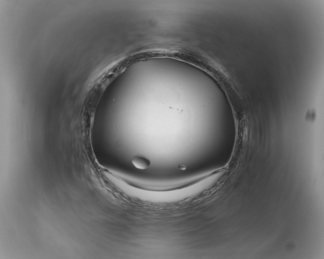 X0000113071448200909110929