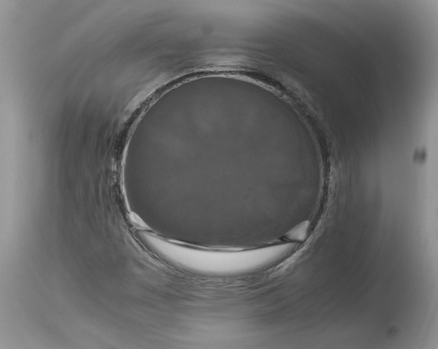 X0000113071449200909110929