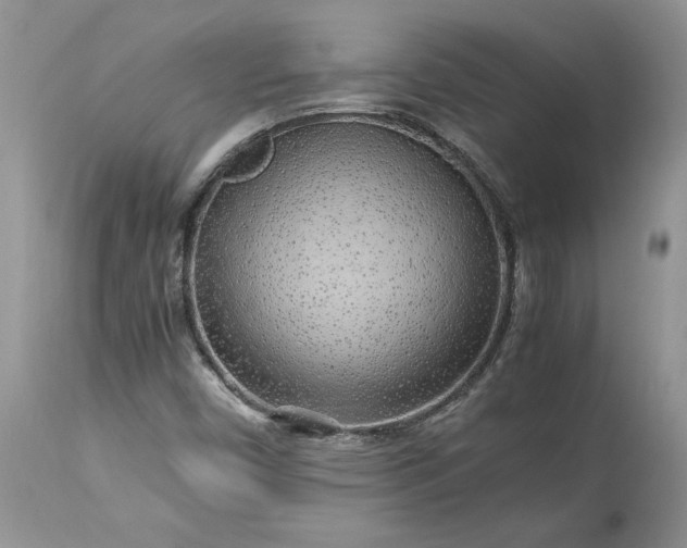 X0000113071450200909110929