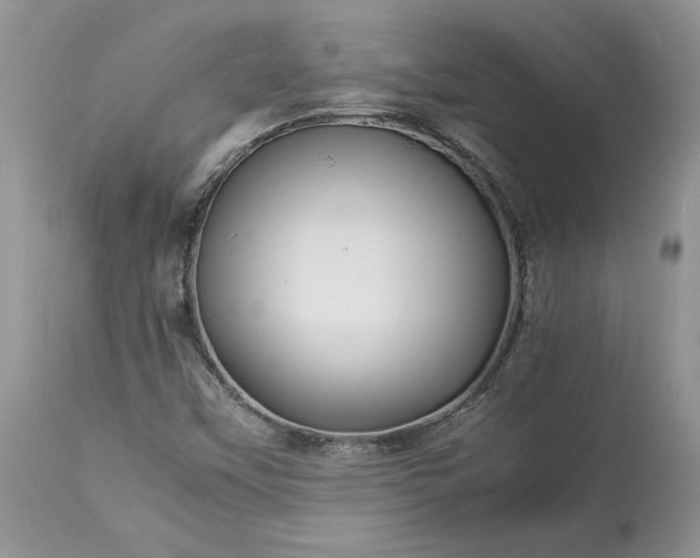 X0000113071451200909110929